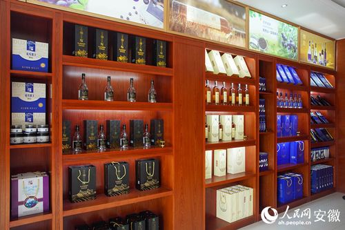 新征程江淮行｜安徽懷寧 勾勒“莓”好藍圖，科技助力鄉村振興