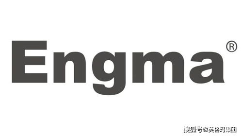 英格瑪集團(tuán)軟件外包服務(wù)榮獲2022新旗獎(jiǎng)創(chuàng)新競賽年度產(chǎn)品大獎(jiǎng)