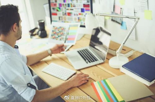 上海優(yōu)質(zhì)IT外包與軟件服務公司概覽